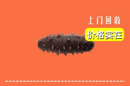 哈密伊州区回收海参