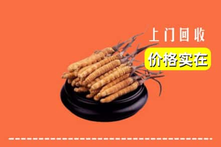 哈密伊州区回收冬虫夏草