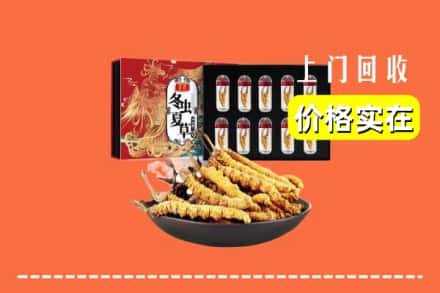 哈密伊州区回收虫草