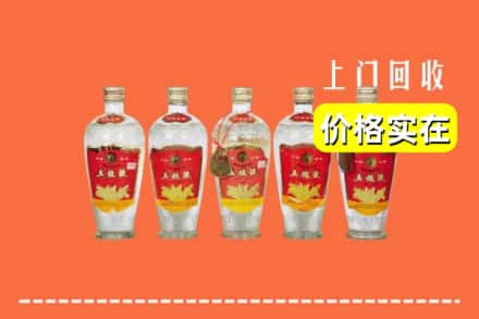 诚信求购:哈密伊州区高价回收老五粮液